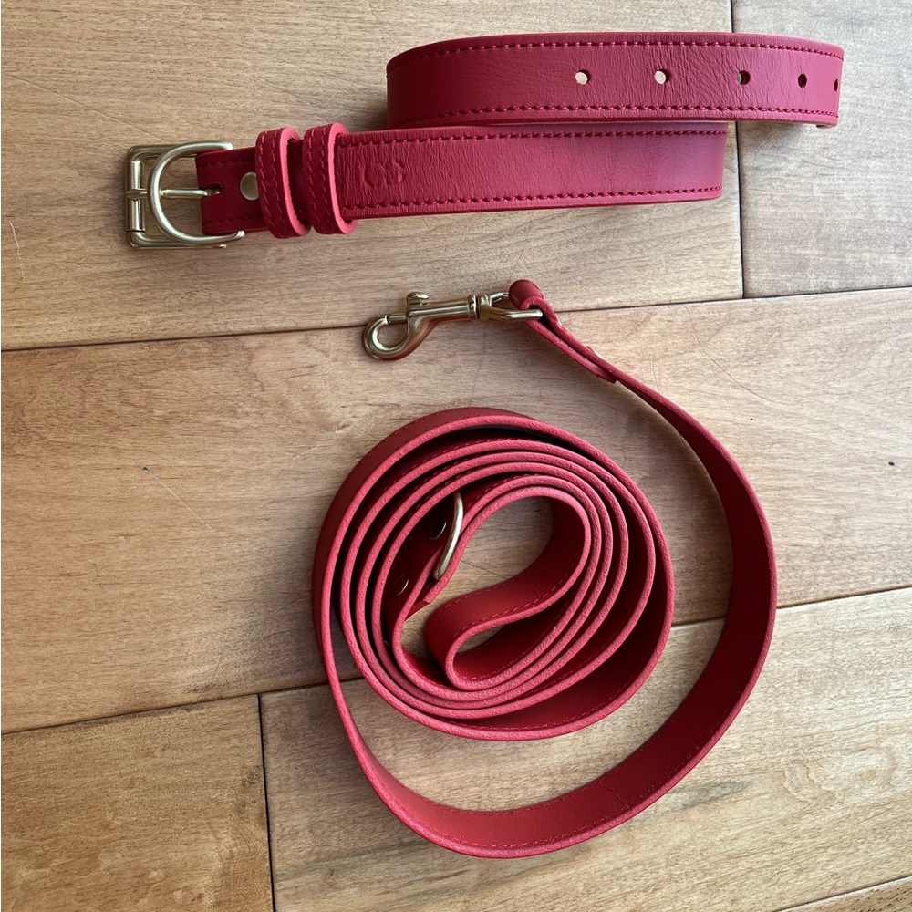 Collar and leash set from Genuine Canine